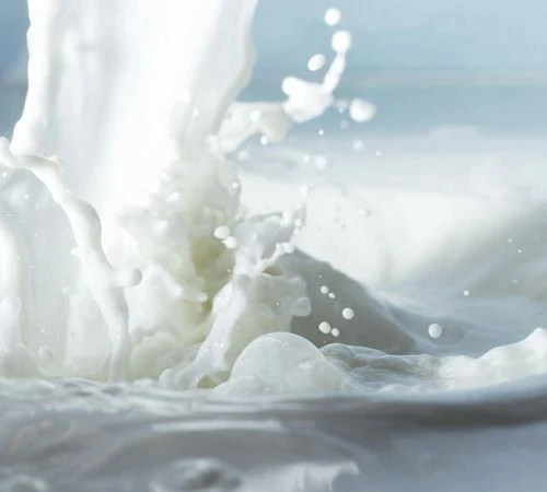 freeze dried ice cream raw material